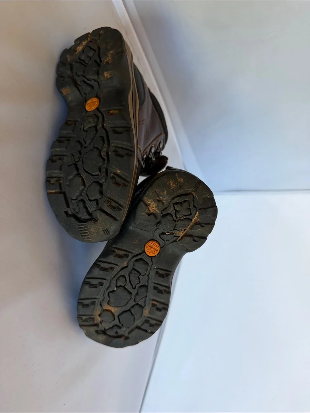 Timberland Kids Brown and Black Leather Hiking Boots